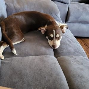 Meet your Posher, Debra